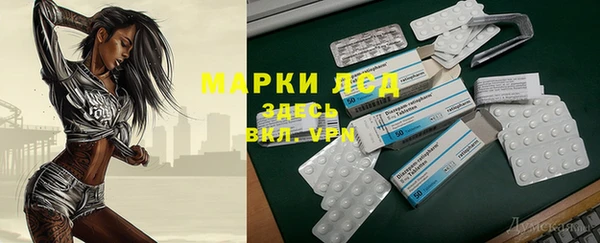 твердый Зеленодольск