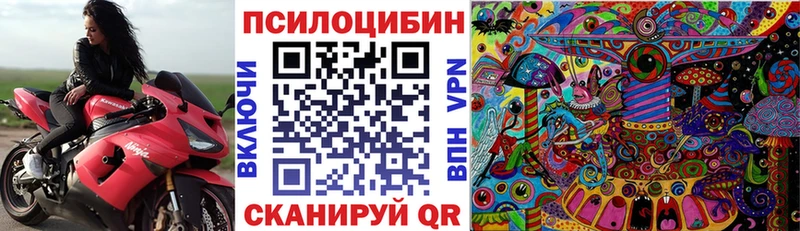 Купить закладки  Западная Двина  Псилоцибиновые грибы Psilocybe 