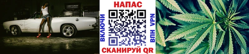 Купить закладки  Западная Двина  Шишки марихуана White Widow 